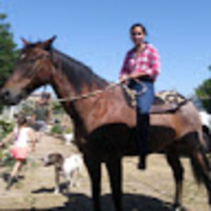 Meet your Posher, Wendy